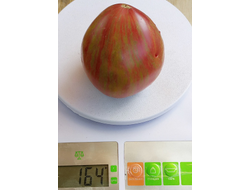 Томат Волшебная Радуга