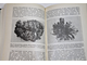 Патури Ф. Растения-гениальные инженеры природы. М.: Прогресс. 1982г.