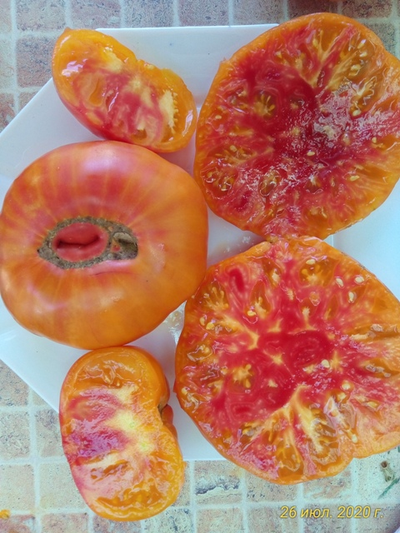 Томат Король Ананас ( King Pineapple, США)