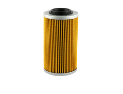 Масляный фильтр Champion COF456 (Аналог: HF556) для BRP (420956741, 711956740, 711956741)