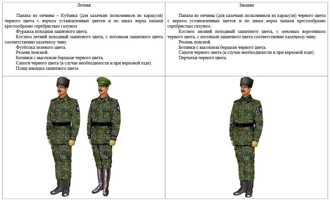 Казачья полевая форма нового образца