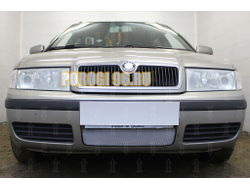 Защита радиатора Skoda Oktavia 2000-2011 chrome