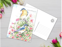 Дмитриева Мария - Серия "Птицы" №1