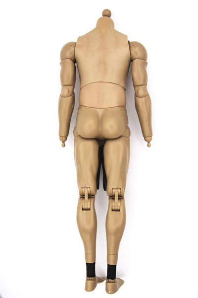 Тело DAMTOYS 1/6 (78063) - DAMTOYS