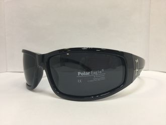 ОЧКИ СОЛНЦЕЗАЩИТНЫЕ  Polar Eagle 8202 C1 61-17-122