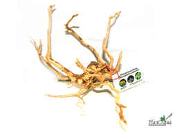 Коряга ПУСТЫННАЯ M (20-30 см)