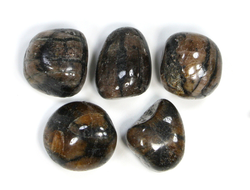 Хиастолит (андалузит) в ассортименте, галтовка (22-24 мм, 10-14 г) №22701