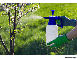 Биопрепараты (от болезней/вредителей)