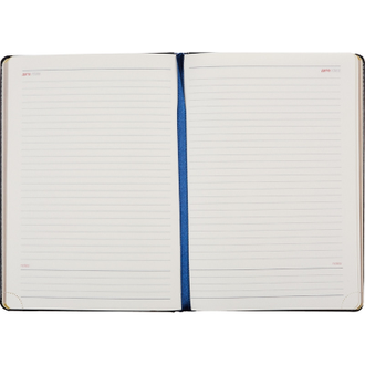 Ежедневник недатированный InFolio Britnnia, 140х200, 160л (синий)