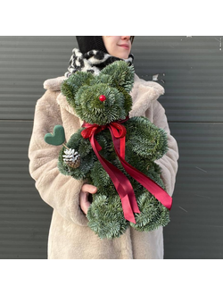 Мишка Тони из нобилиса