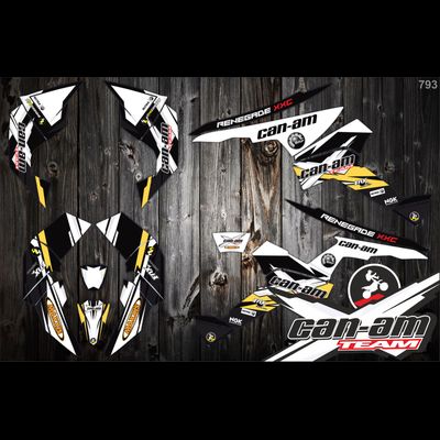 Наклейки на квадроцикл Can-am BPR Renegade #793