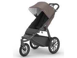 Коляска 3в1 UPPAbaby Ridge Theo