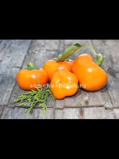 Перец сладкий Фон барон оранжевый, 10 шт.
