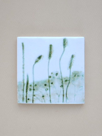 Лаванда // 10*10