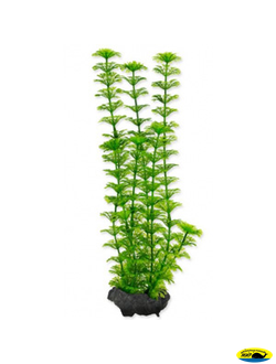 270329 Растение аквариумное Ambulia (M) 23см с утяжелителем