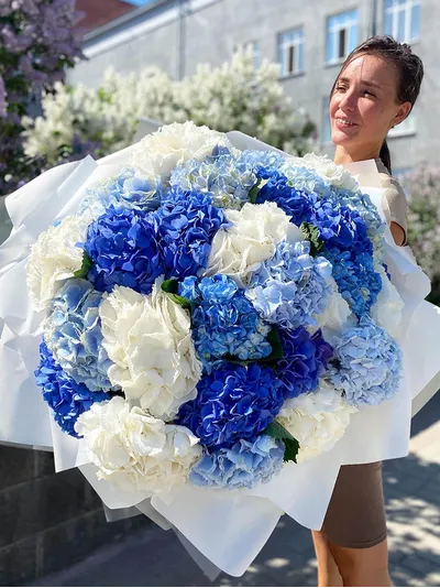 Микс из 31 гортензии