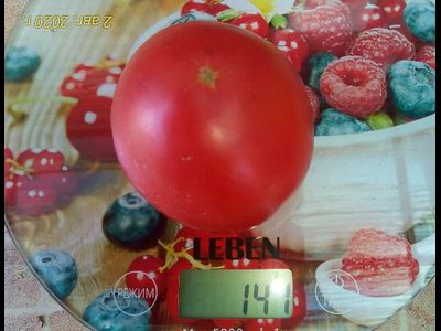 Томат Демидов