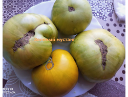 Томат Зеленый мустанг (Green Mustang)