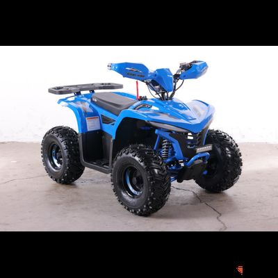 Квадроцикл GreenCamel Gobi K90 (20Ah 48V 750W R7 Дифф) LUX Bluetooth Синий