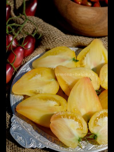 Томат Белое Сердце Софии