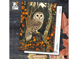 Почтовая открытка для посткроссинга: Ночи верная подруга