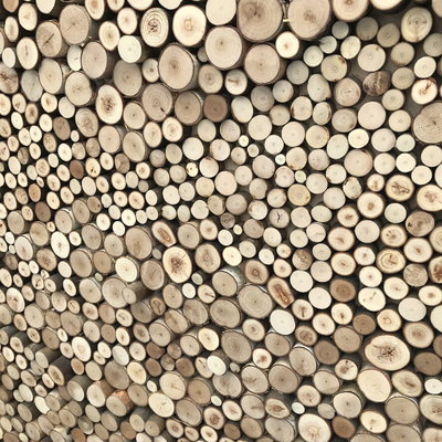 панно из спилов, спилы для стен, декор спилами, декор магазина, декор ресторана, декор офиса, фото