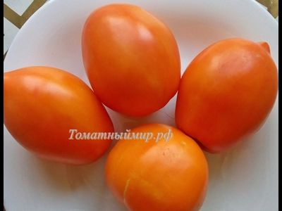 Томат Южный загар