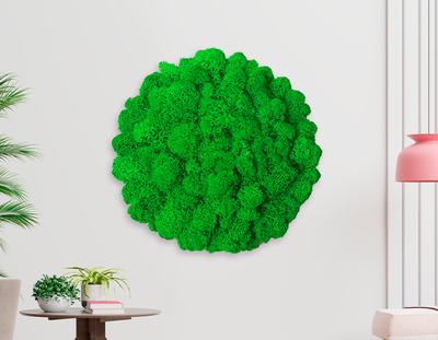 ЖИВАЯ ЭКО-КАРТИНА 1042