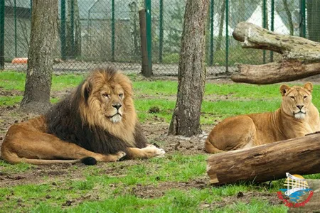 Сафари-парк "Тайган"