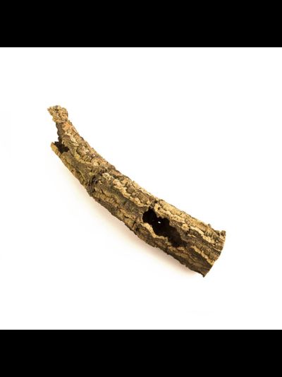 Кора пробкового дерева, полый ствол