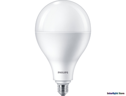 Philips LEDbulb A80 19-160w 865 E27