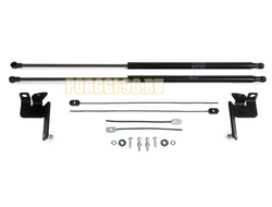 Амортизаторы капота АвтоУПОР (2 шт.) Toyota Highlander 2020-