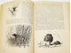 Формозов А. Н. Среди природы. М.: Изд-во Московского ун-та. 1985г.