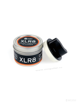 Planet Waves PW-XLR8-01