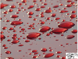 Автомобильные воски и полимеры