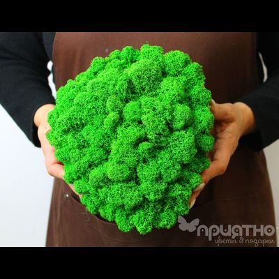 ЖИВАЯ ЭКО-КАРТИНА 1040