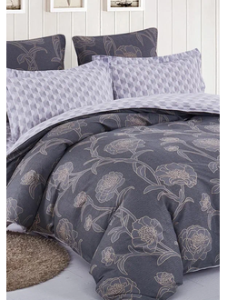 Постельное белье Cleo полутороспальное сатин 150х210х1 160х230х1 50х70х2 16/682-SK