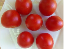 Томат Денежный мешок