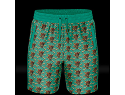 Running Wild - плавательные шорты