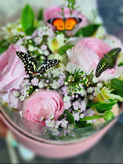 Букет ранункулюс  с живыми бабочками № 93