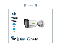 TC-C32QN Spec:I3/E/Y/2.8mm(4 мм)/V5.0 уличная LAN IP камера с  фиксированными объективом, серия SPARK, 2Мп (EasyLivePlus)