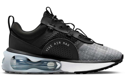 спортивные женские кроссовки Nike Air Max Womens 2021 'Black Smoke Grey' DA1923-001