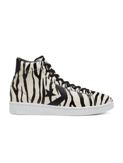 Converse HI