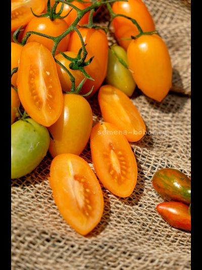 Томат Märchengold (Сказочное Золото), 10 шт