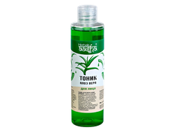 Тоник Алое Вера Aasha Herbals, 200 мл