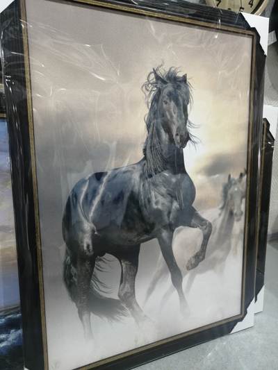 картина в раме  50х70 см Freedom