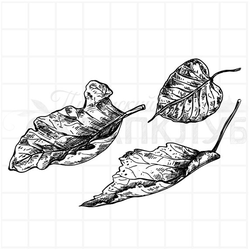 Штамп пожухлые листья