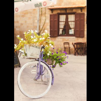 D0447 Велосипед