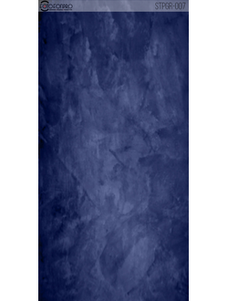 Фотофон на холсте «Черника»