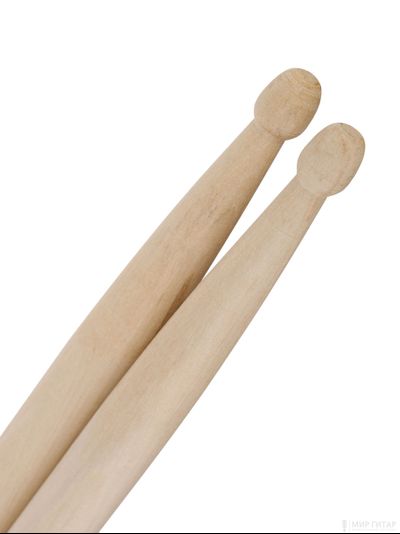 Leonty SL5BW Studio Light 5В